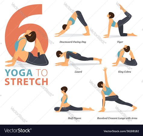 6 yoga poses for body stretching concept Vector Image