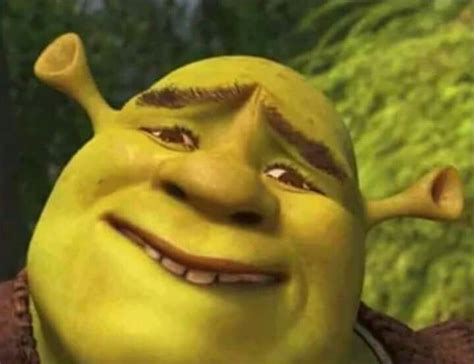 Shrek Meme Face | anthonyguy