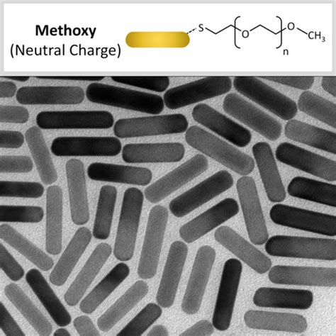 NanoHybrids - Silica-Coated Gold NanoRods