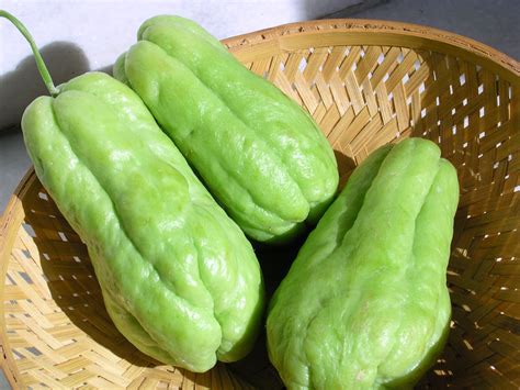 Amazing Health Benefits of Chayote (Vegetable Pear) for your body and beauty | Health Benefits ...