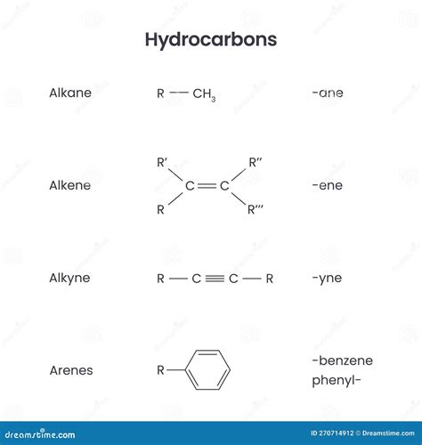 Hydrocarbon Functional Groups Biochemistry Science Vector Infographic Stock Vector ...