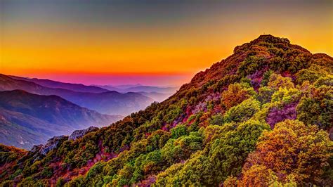 Mountain, Colorful, Forest, Nature, Sunset, Scenery, 4K, #161 Wallpaper PC Desktop