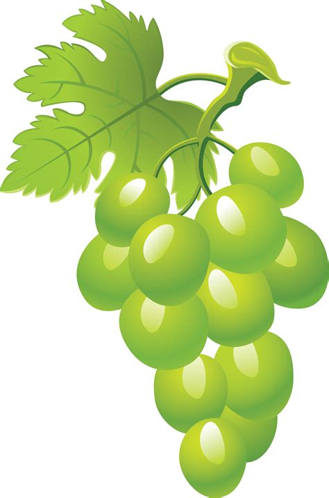 Free Red Grapes Cliparts, Download Free Red Grapes Cliparts png images ...