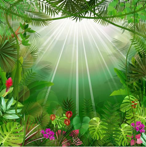 Beautiful tropical scenery vectors graphics 01 free download