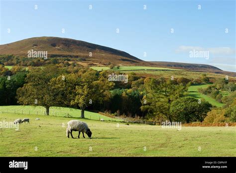 The Yorkshire Moors Stock Photo - Alamy