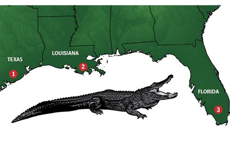 American Alligator Habitat Map