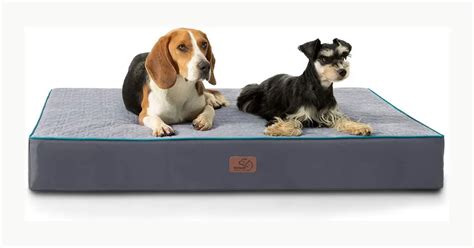 What is an orthopedic dog bed & Why dog need orthopedic bed