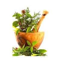 History of Ayurveda - Indian Ayurveda and Yoga