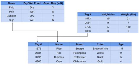 Simple Relational Database