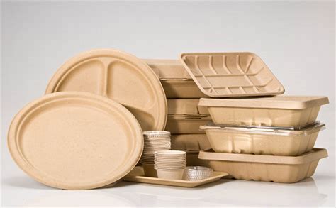 7 Reasons Why You Should Use Compostable Packaging | My Decorative