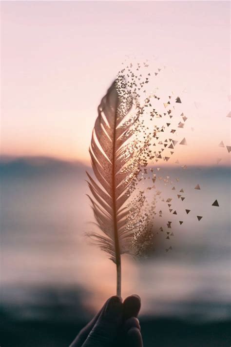 wallpaperpinterest.com | Beautiful nature wallpaper, Nature wallpaper, Beautiful wallpapers