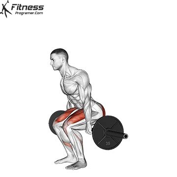 How To Do Barbell Hack Squats | Muscles Worked And Benefits