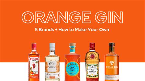 Orange Gin: 5 Brands to Try and How to Make Your Own - Gin Observer