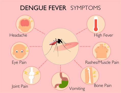 Dengue Symptoms, Causes & Preventions | Apollo Hospitals Blog