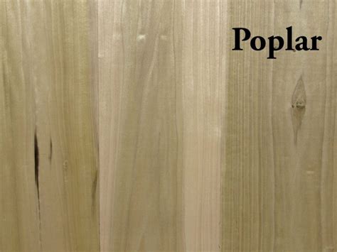 Poplar Hardwood S4S | Capitol City Lumber