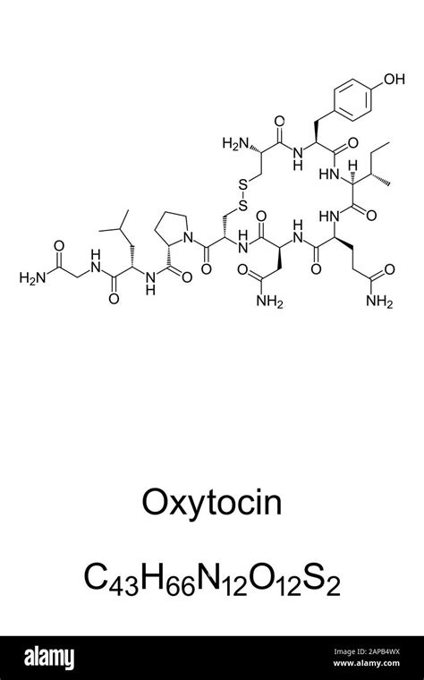 Oxytocin structure Black and White Stock Photos & Images - Alamy