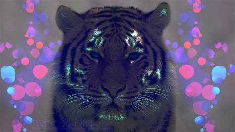 🔥 [50+] Neon Tiger Wallpapers | WallpaperSafari