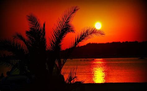 Summer Sunset Wallpapers - Wallpaper Cave