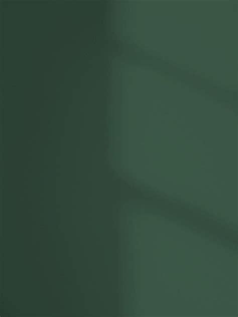 Green 20: Dark Forest Green Paint - Matt Emulsion Paint | Lick