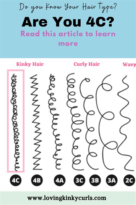 What is 4C hair | 4c hairstyles, Hair chart, Hair type