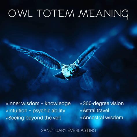 Owl Totem Meaning (Spirit Animal) - Sanctuary Everlasting