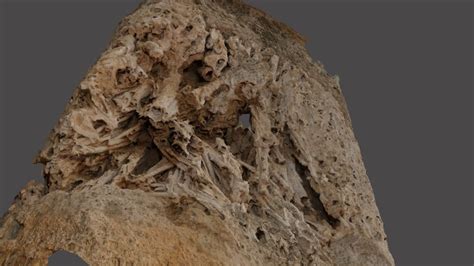 Tufa development - 3D model by brianb (@bbarrett) [c4516c8] - Sketchfab