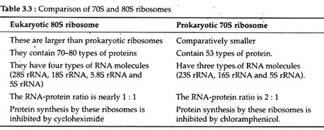 Ribosome: Meaning, Types and Structure