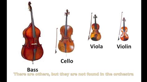 Instruments Of The Orchestra Test