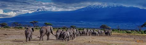 Mountain Kilimanjaro National Park