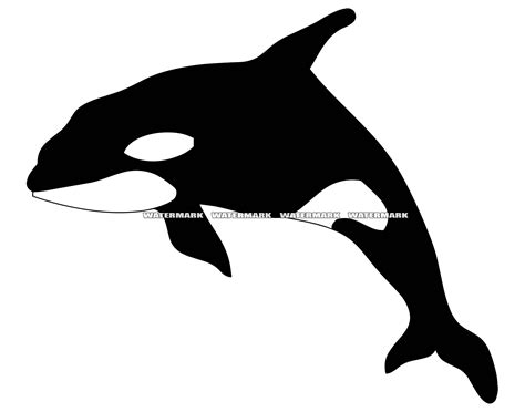 Orca SVG Orca DXF Orca PNG Orca Clipart Orca Silhouette - Etsy Hong Kong