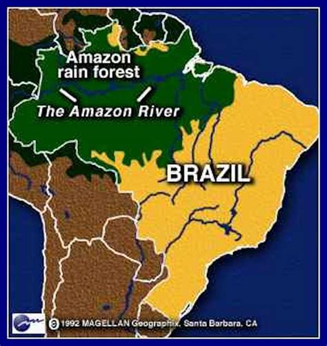 Amazon Rainforest Map Of Area