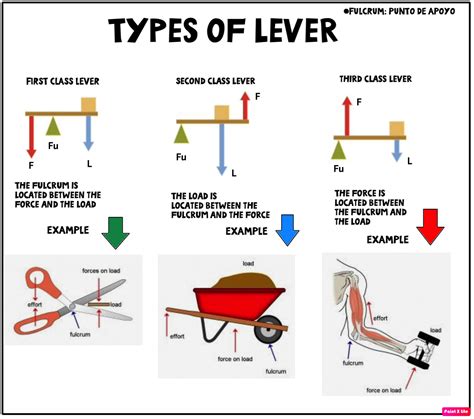 Three Types Of Levers