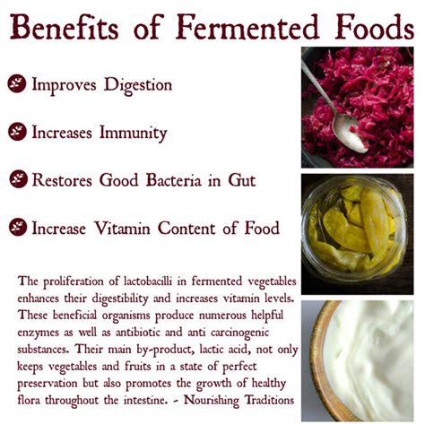 Health Benefits of Fermented Foods - Seattle Urban Nature Project