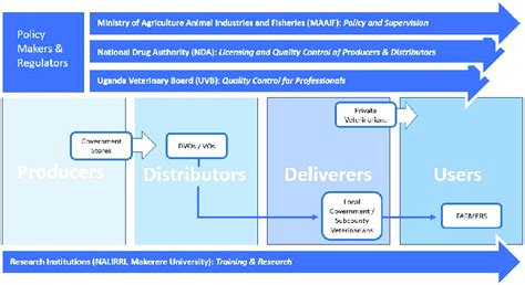 Typical government-led PPR vaccine value chain.... | Download Scientific Diagram