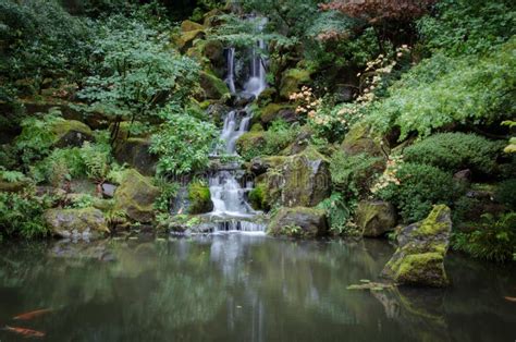 Japanese Water Garden Waterfall Stock Image - Image of japanese, plants ...