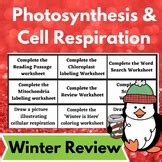 Photosynthesis & Cell Respiration Winter Review Activity Worksheets for Biology.