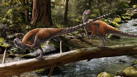 New Dinosaur Discovered 2024 Video - Luise Robinia