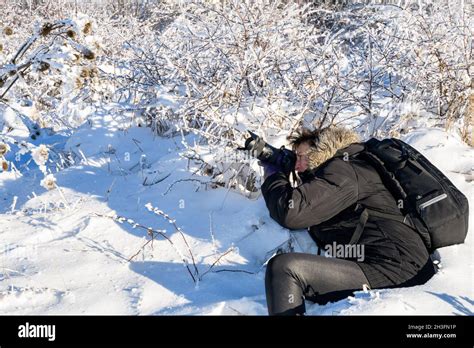 photographer shoots icy snowy low trees on a sunny winter day in deep ...