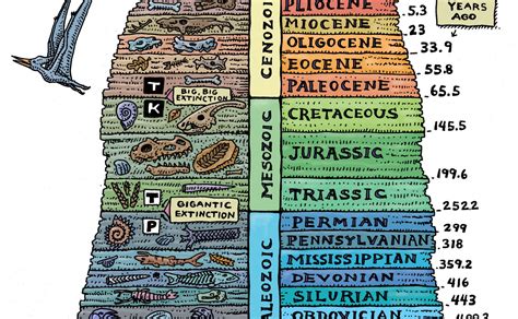 Why are fossils important? + Example