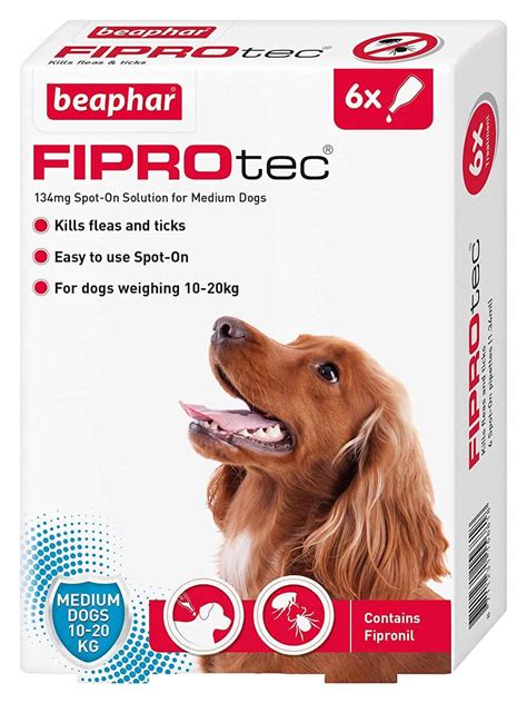 Best Dog Flea Treatment: Dog Flea Treatment Reviews (UK)