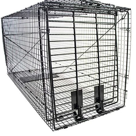 Which Best Bobcat Traps Should You Buy Now? - biotadining.com