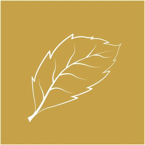 Premium Vector | Leaf logo design icon vector