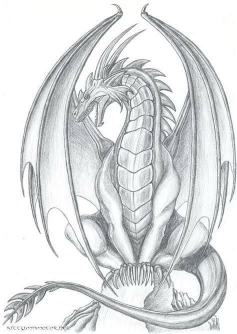 Pencil Drawing Of A Dragon at PaintingValley.com | Explore collection ...