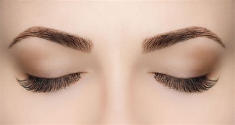 How to have the best eyebrows for your face | Love My Senses EN