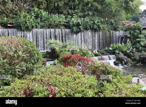 Waterfall japanese garden foliage hi-res stock photography and images ...