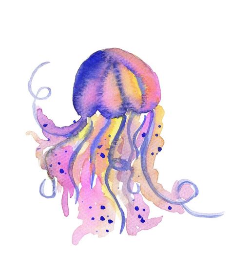 Beautiful Watercolor Vibrant Picture Of A Floating Jellyfish Stock ...