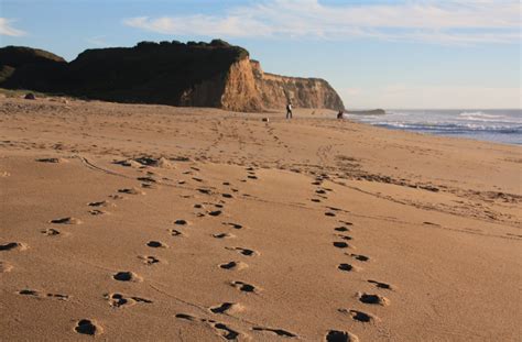 Best Beaches near San Jose, CA - California Beaches