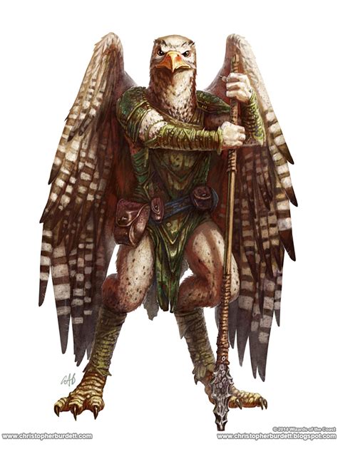 Aarakocra | Forgotten Realms Wiki | Fandom