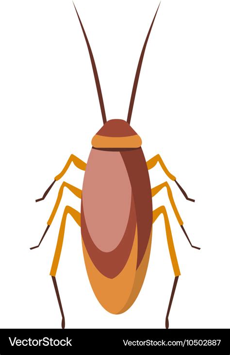 Cockroach bug cartoon flat Royalty Free Vector Image