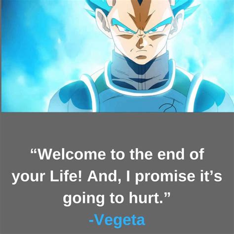 [100+] Vegeta Quotes Wallpapers | Wallpapers.com